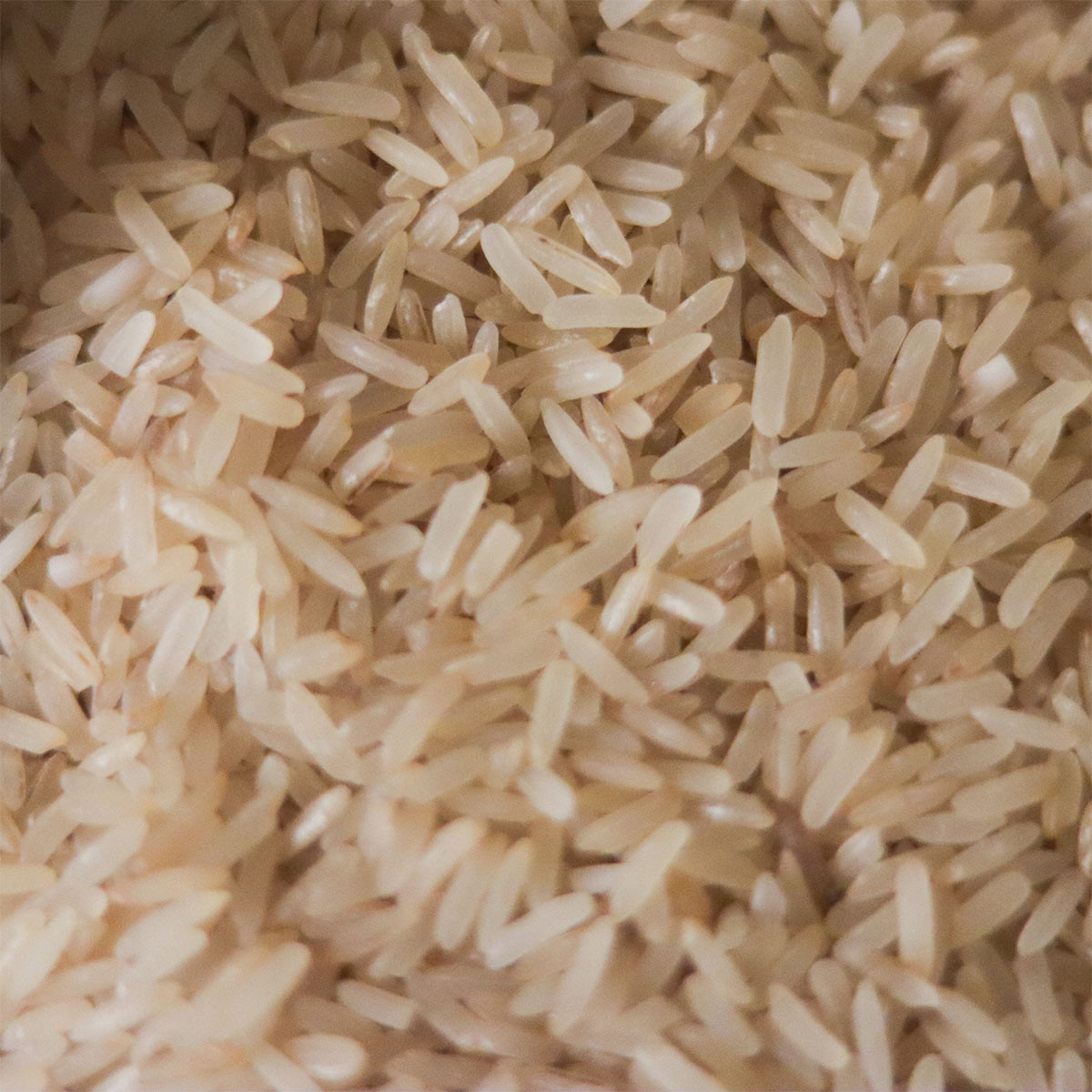Mohan-Shaal Rice Boiled/Sheddo (2kgs)- Chemical-free Aromatic Rice